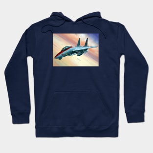 F14 Tomcat Hoodie